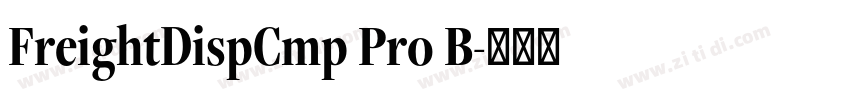 FreightDispCmp Pro B字体转换
